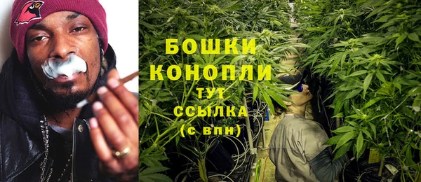 шишки Алексеевка