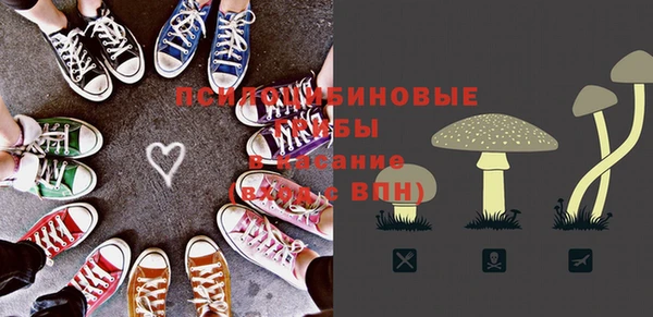 шишки Алексеевка