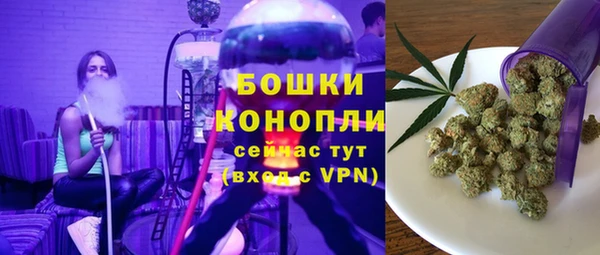 шишки Алексеевка