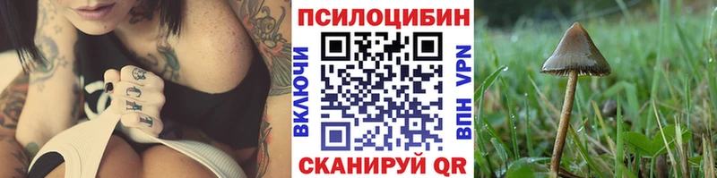 даркнет сайт  Рубцовск  Псилоцибиновые грибы ЛСД 